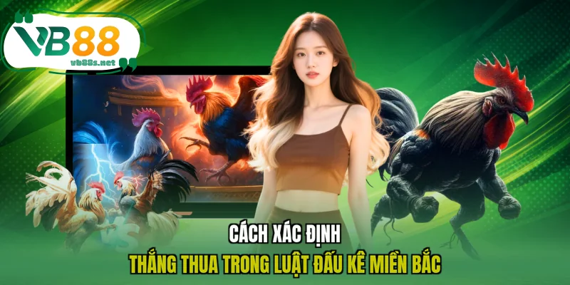 Cách xác định thắng thua trong luật đấu kê miền Bắc Cách xác định thắng thua trong luật đấu kê miền Bắc