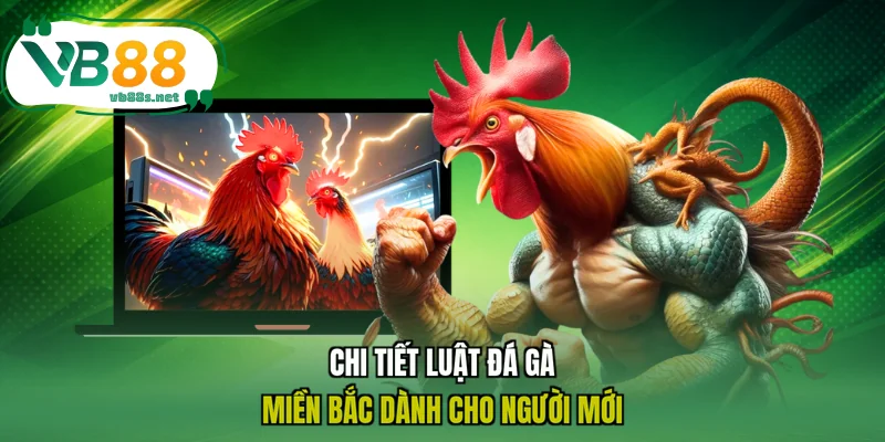 Chi tiết luật đá gà miền Bắc dành cho người mới Chi tiết luật đá gà miền Bắc dành cho người mới
