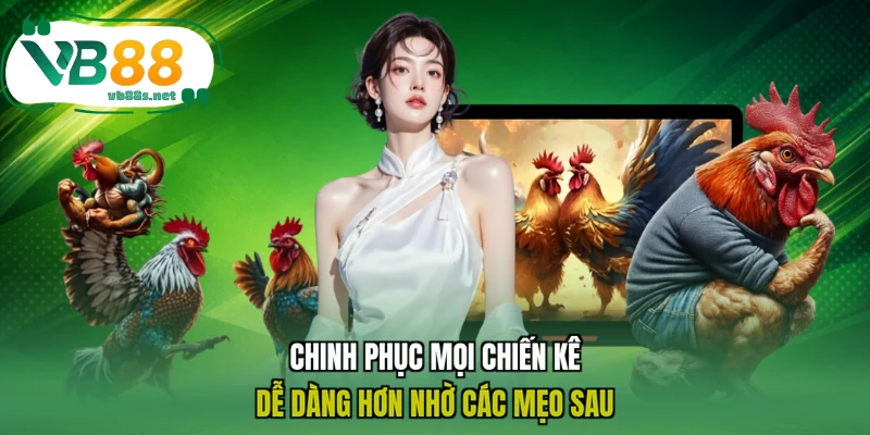 Chinh phục mọi chiến kê dễ dàng hơn nhờ các mẹo sau Chinh phục mọi chiến kê dễ dàng hơn nhờ các mẹo sau