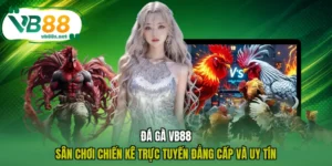 Đá Gà VB88 - Sân Chơi Chiến Kê Trực Tuyến Đẳng Cấp Và Uy Tín